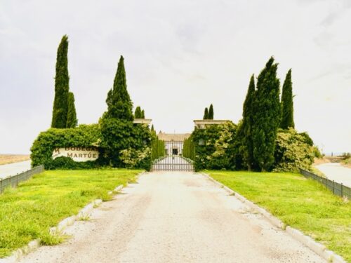 Bodegas Martúe