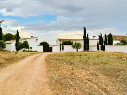 Bodegas San Ricardo Enoturismo